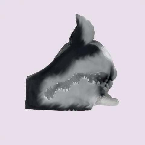 Loona – Kolekcjonerski Megapack Furry Premium